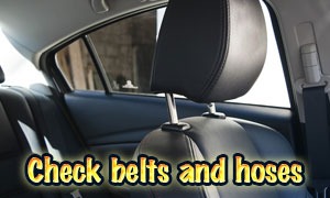Check belts and hoses