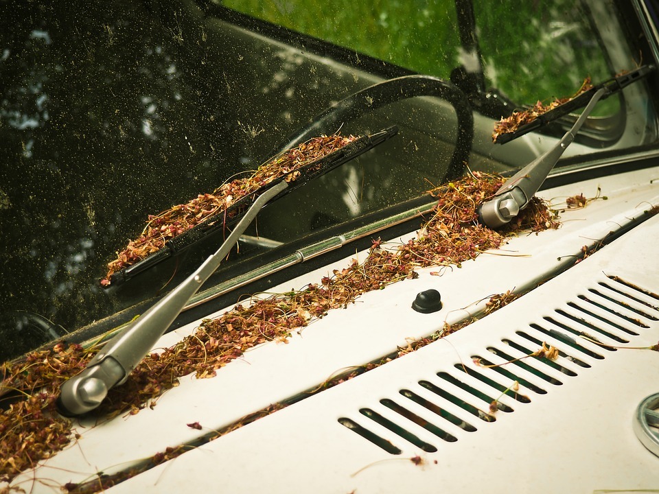 How Pollen Affects Your Car & What You Can Do to Help