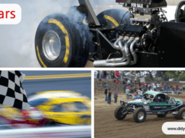 What are the Different Categories of Motorsports?