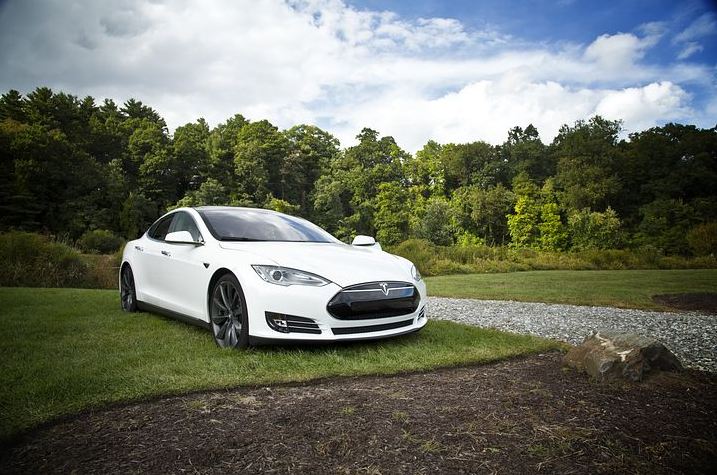 White Tesla vehicle parked on the grass
