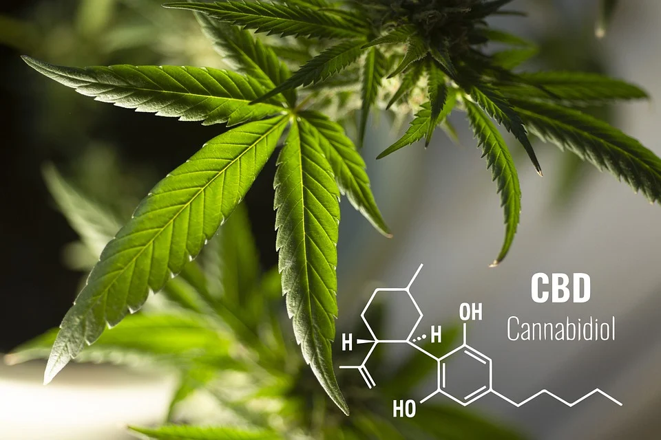 5 Types of Cannabinoids You've Never Heard Of (Hint: We Don't Mention CBD or THC)