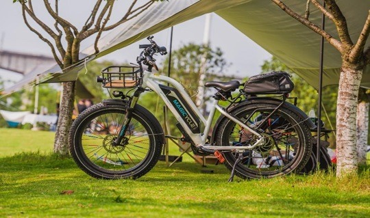 8 Essential Factors that Affect the Range of Ebike