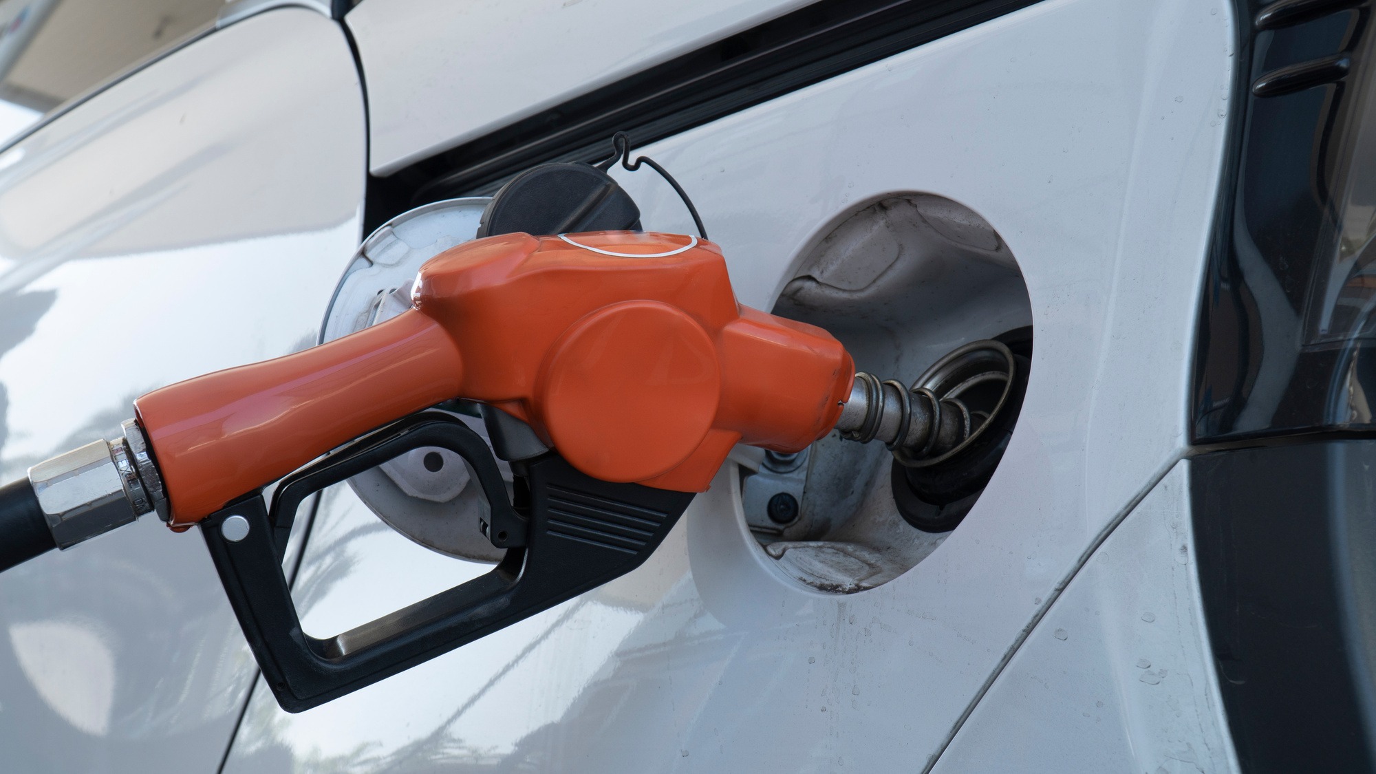 dispenser nozzle fuel fill oil into car tank.