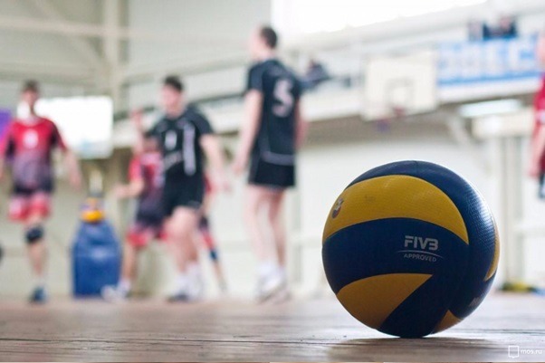 Volleyball Online Betting