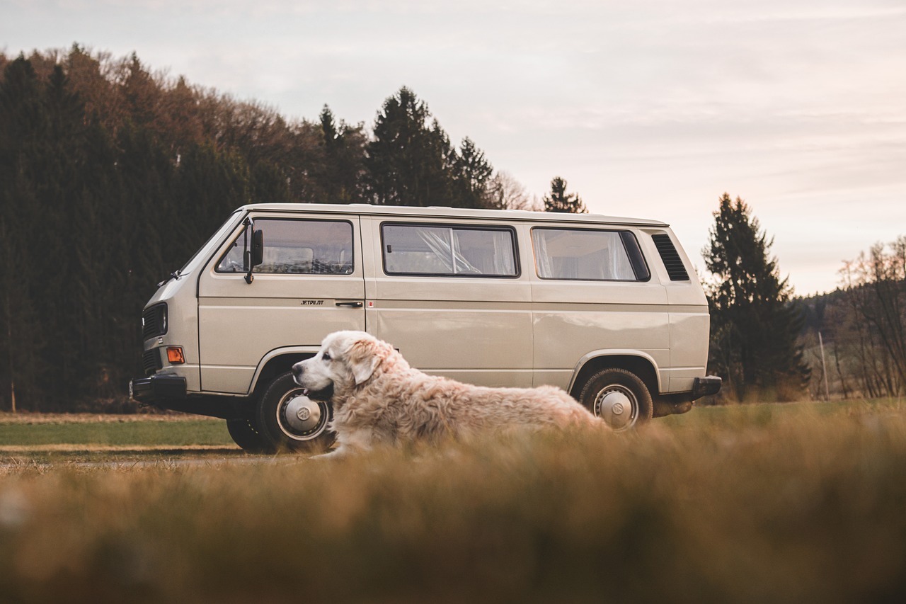 A Guide To Choosing The Right Van Life Accessories for Your Needs