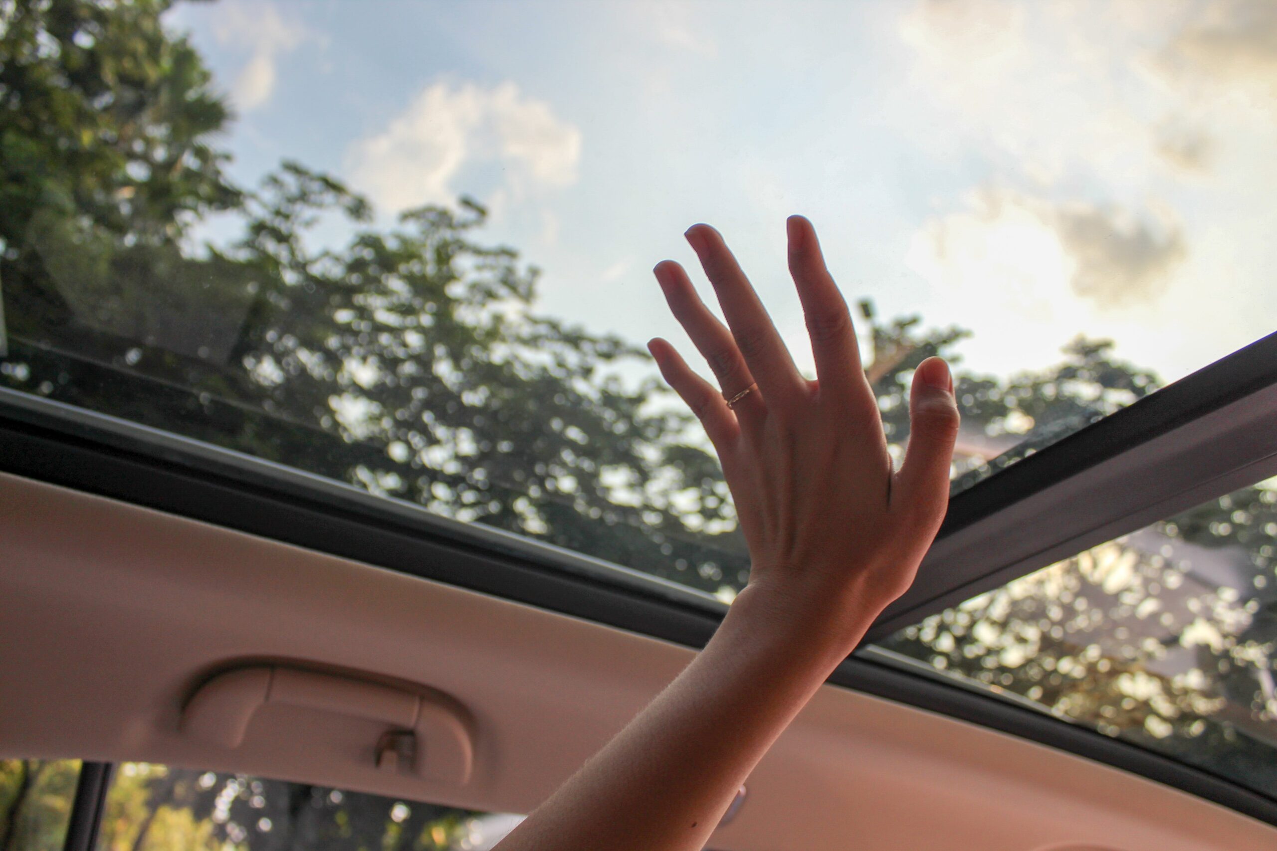Choosing The Right Auto Glass For Your Vehicle’s Needs