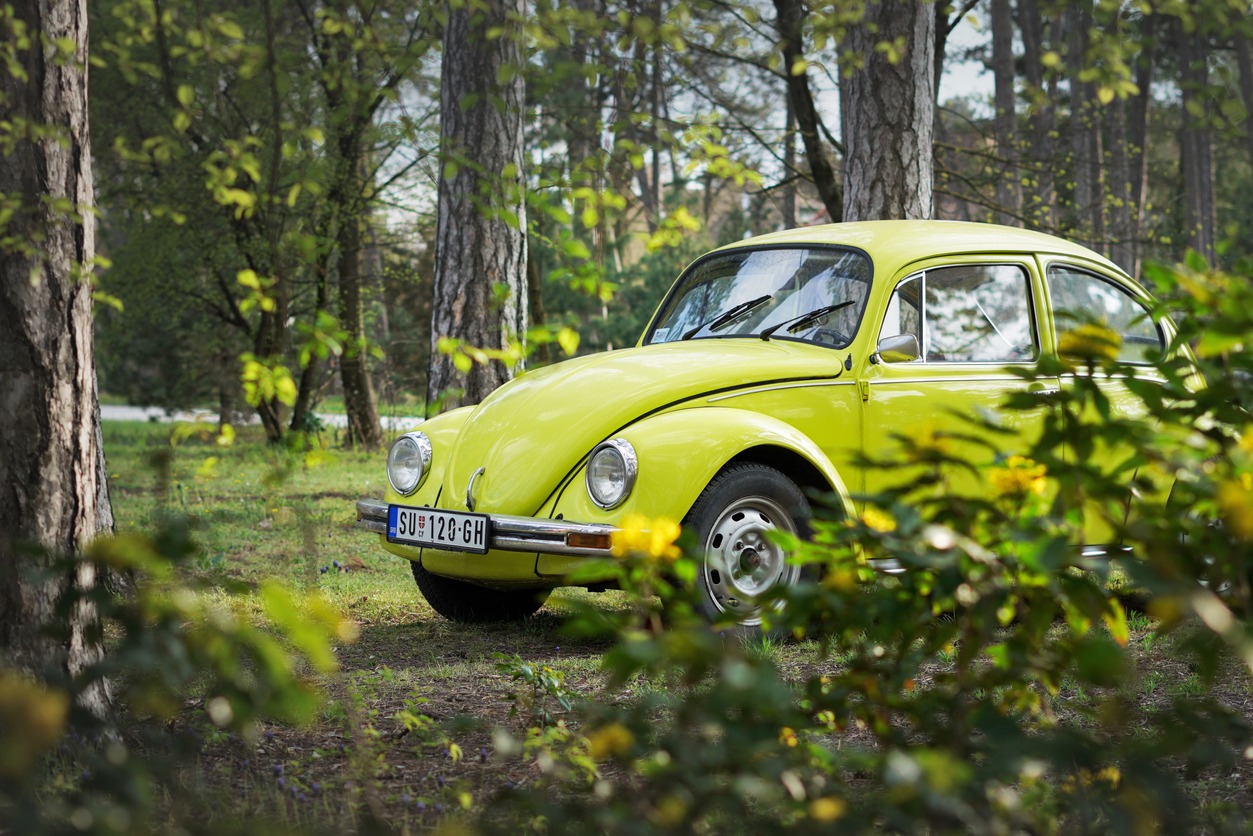 a bright lime Volkswagen Beetle in the middle of the woods