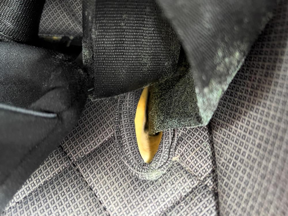 Mold on the seat belt